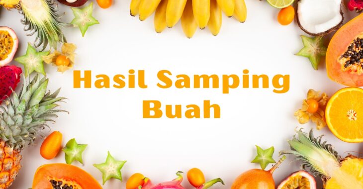 Hasil Samping Buah (Pengertian, Ciri Ciri dan Contoh Olahan)