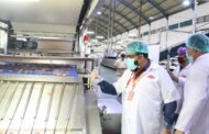 8 Daftar Pabrik di Gresik dari PT Pupuk Hingga Perusahaan Makanan Terbesar