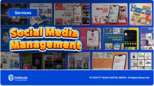 social media management