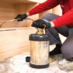 Cara Membasmi Rayap Kayu Lemari dan Tembok Rumah