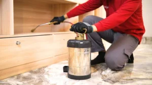 Cara Membasmi Rayap Kayu Lemari dan Tembok Rumah